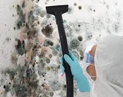 Elim, PA Mold Removal Company